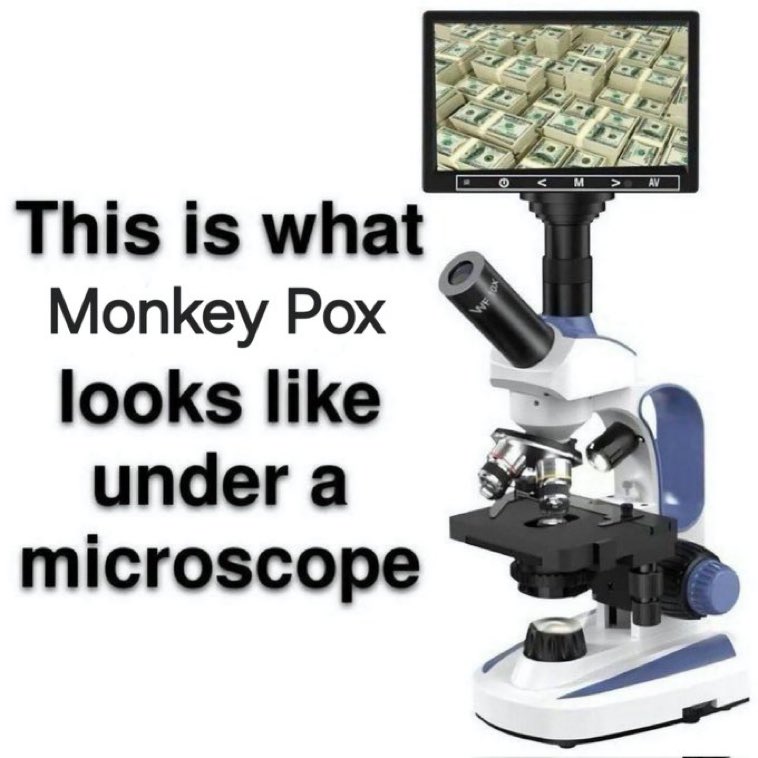 Tam da budur işte👀

#monkeypox