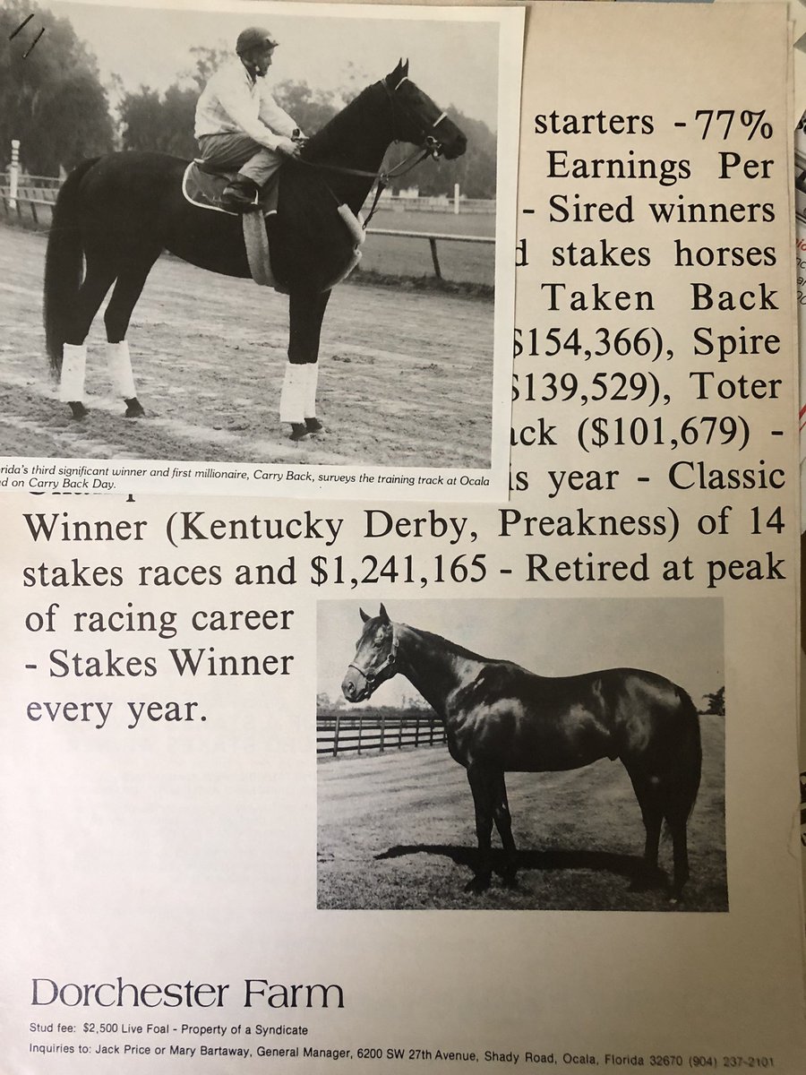 JackpotNick's tweet image. #CarryBack🏇🏿🏇🏿🏇🏿