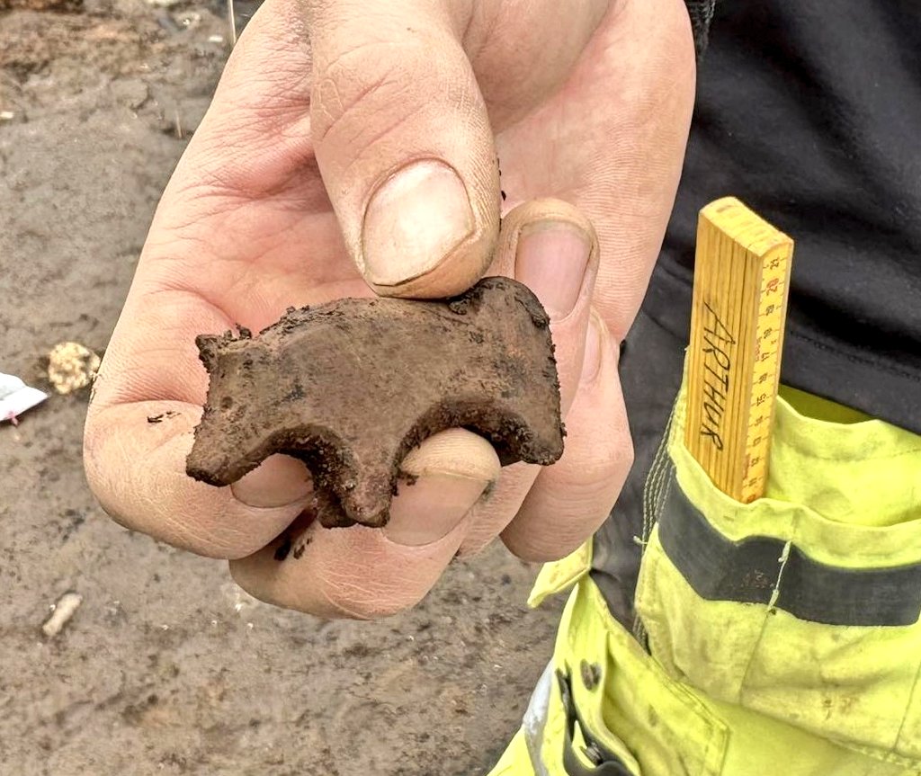 DrNWillburger's tweet photo. Rare archaeological find: Carved #toy animal (#bear? #pig?) discovered in East Iceland. Made from volcanic rock. Dating 10th century.

https://t.co/tlxdiCIc2w https://t.co/3tqahDxkoq