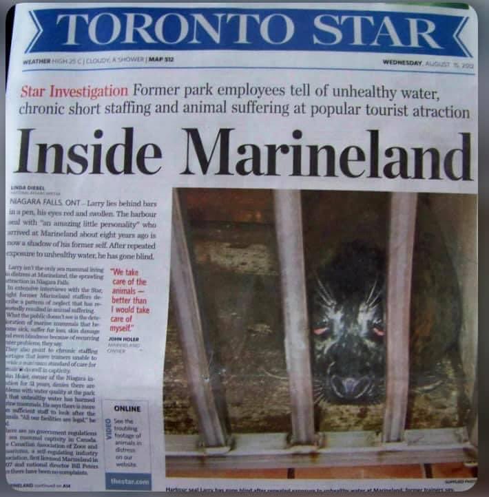 walruswhisperer's tweet photo. Fact: Today is the 12 year anniversary of the investigation into MarineLand’s animal abuse. My 12th anniversary as a whistleblower of animal cruelty. Today is also the day MarineLand is being sentenced for animal abuse. Never give up! #SavedSmooshi https://t.co/EcwvNaltVN