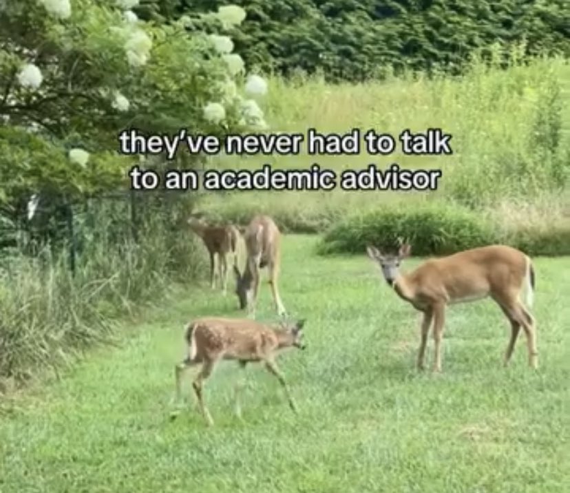 ✧ (@northstardoll) on Twitter photo 