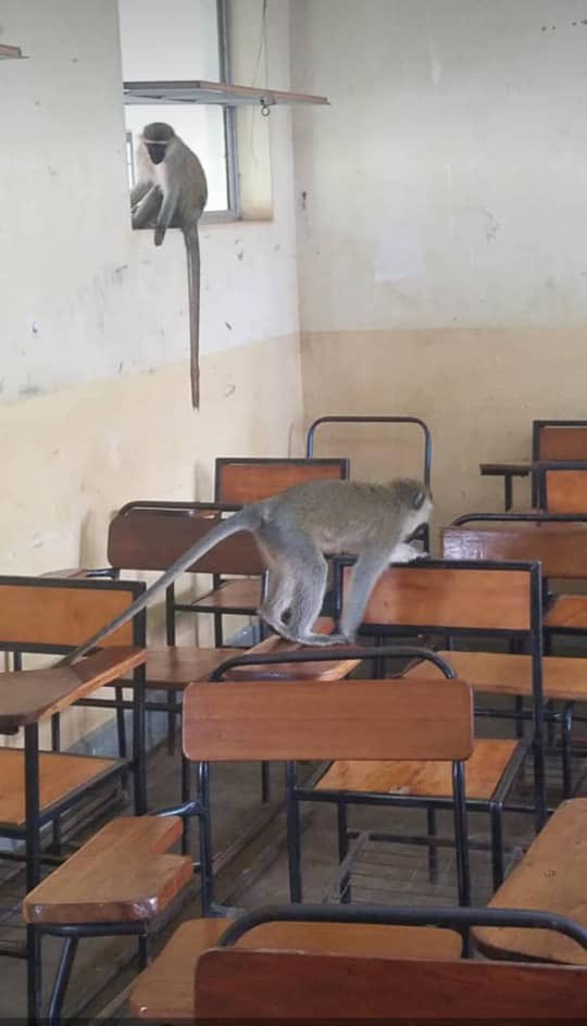 Confiance_MCI's tweet image. UR ...............................................Compus😅😃

Wowe urabona ari iyihe #Compus???🤷‍♀️🤷‍♀️🤷‍♀️