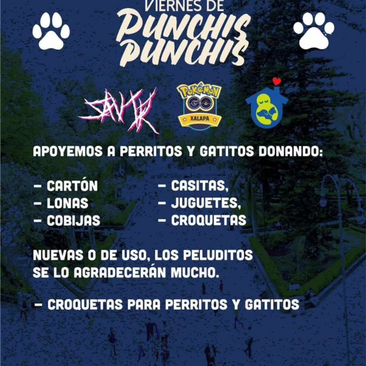 Pokémon GO Xalapa tweet media