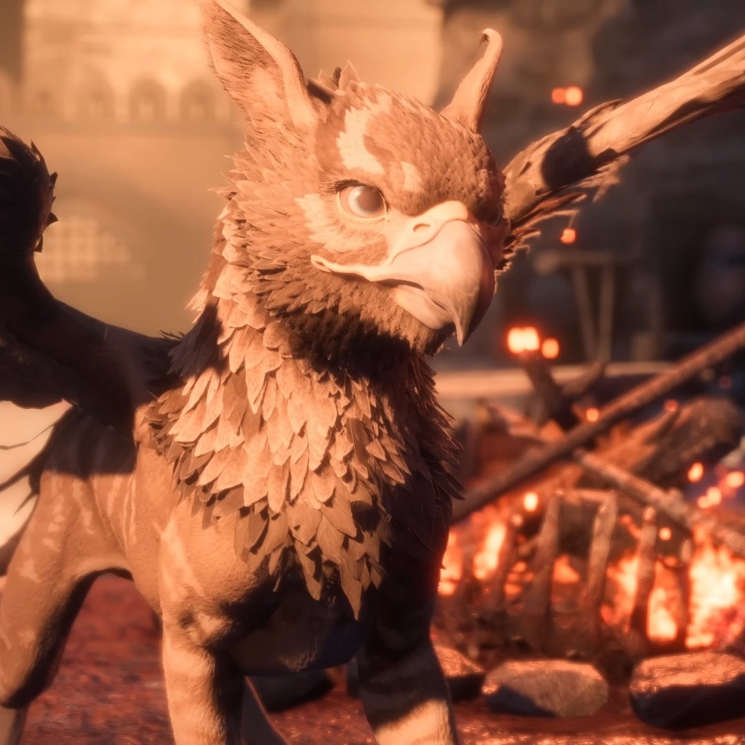 zaeedmassanis's tweet image. rip hero of ferelden you would love assan the griffin