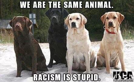 Burdydj2001's tweet image. #RacismIsStupid