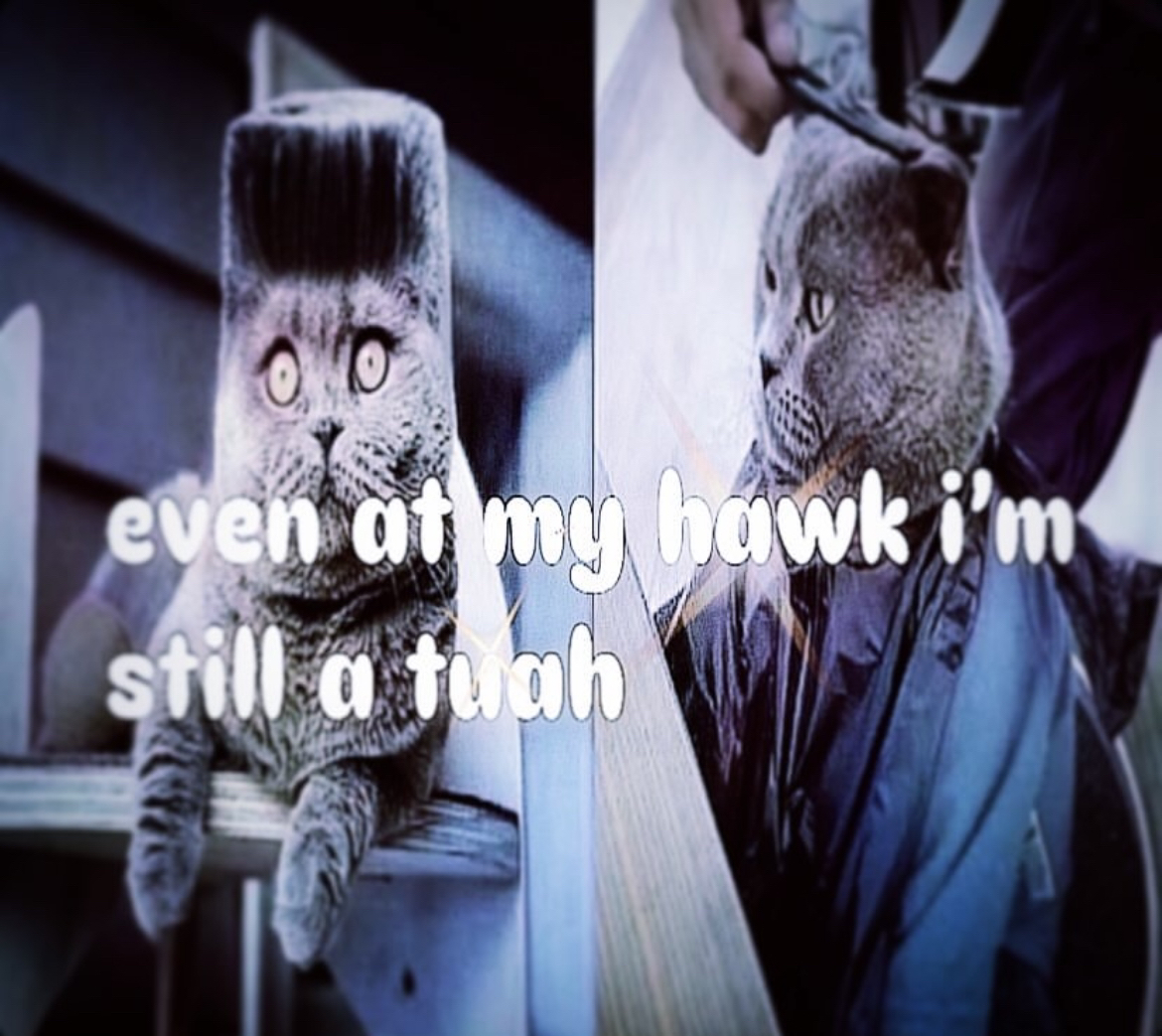 MemeAsylum2's tweet photo. #hawktua #meme #funny https://t.co/H26bte1kQJ