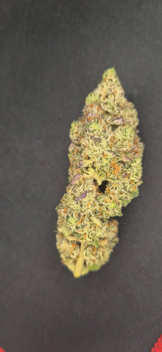 sexybudza's tweet photo. White Truffle pheno no 2

#cannabis #cannabiscommunity #cannabisgrower #growyourown #sourhafrica420 #420SA #weedsmokers #jhb420 #cannabisculture #saweed #weedsa #buyweed #stonerFam #420community #WeedLovers https://t.co/6NxiIpKYti