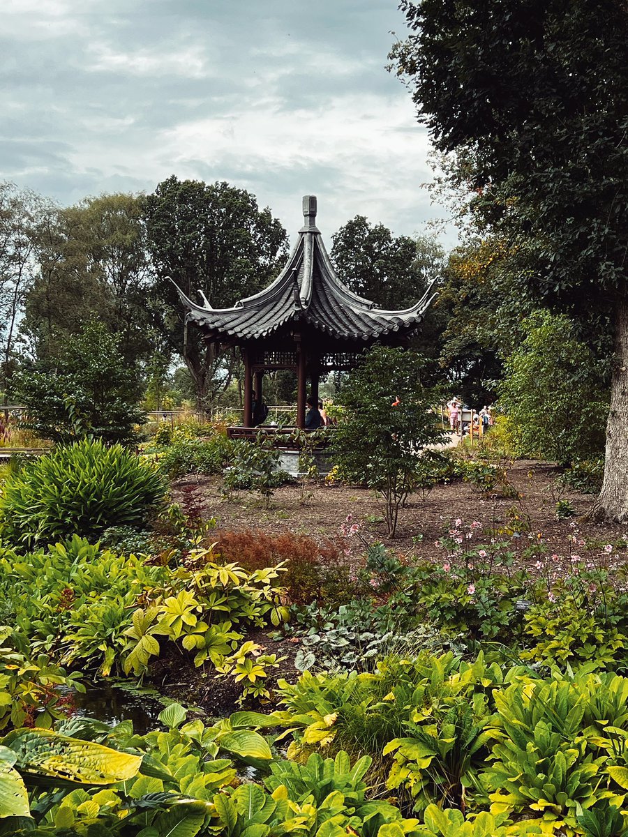 SarahHelenWalt1's tweet photo. Lovely stroll around @RHSBridgewater this week 🌸🪴🌼

https://t.co/dgKxS6B8Xv https://t.co/Pnk7kdQSyu