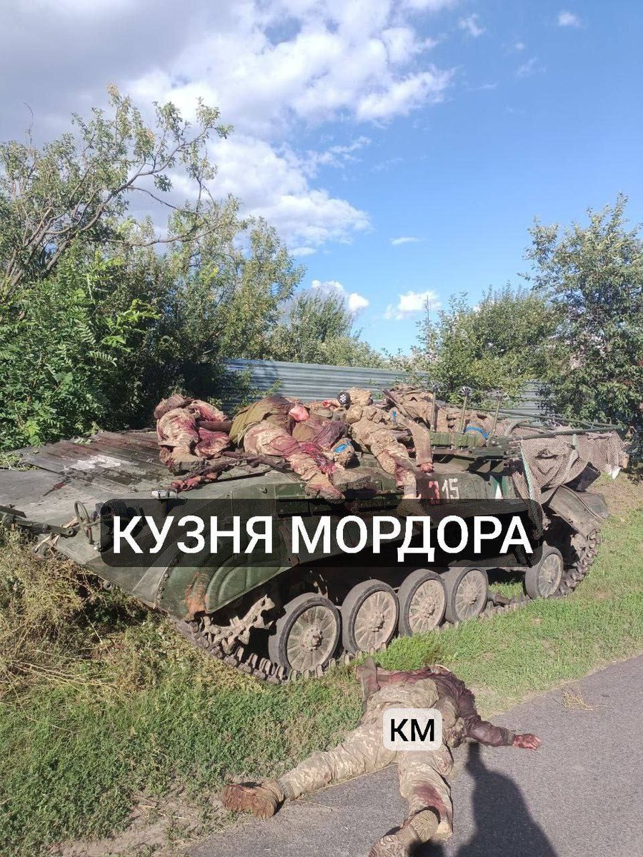 Timothy78744008's tweet photo. The Western mainstream media will never show you this. This is the price Ukraine is paying for attacking kursk 🙄 https://t.co/K0zmNlKXK6