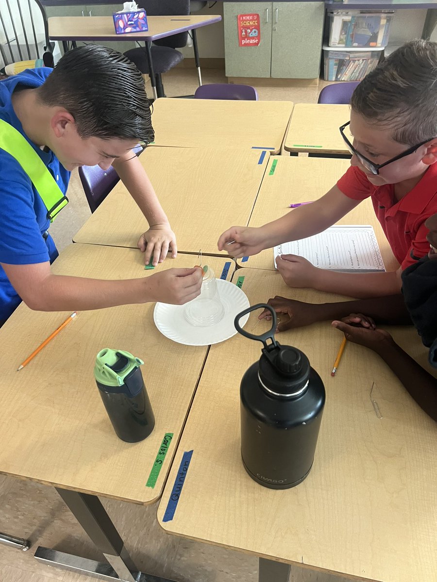 Jen_Teaches24's tweet photo. First lab of the year is always a favorite! Students collaborated to Save Fred! @ElbridgeGaleES #STEM https://t.co/9IVdipIEsy