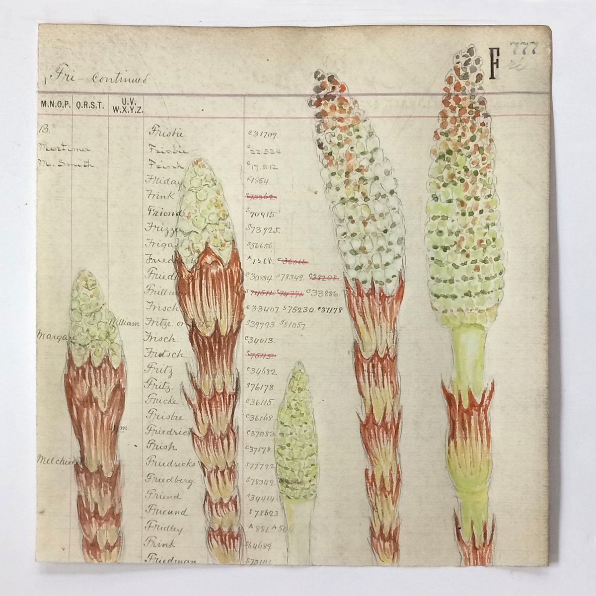 beatymuseum's tweet photo. We have a very limited number of tickets available for Saturday's #SciArt event "Biological Wonders: An Artistic Investigation with Pencil and Watercolour" with artist Sharon Bladholm. Register at https://t.co/5ehy4qvhcP
#UBCevents #UBClife #YVRevents #YVRlife #UBCvancouver #UBC https://t.co/9CQD9EScHC