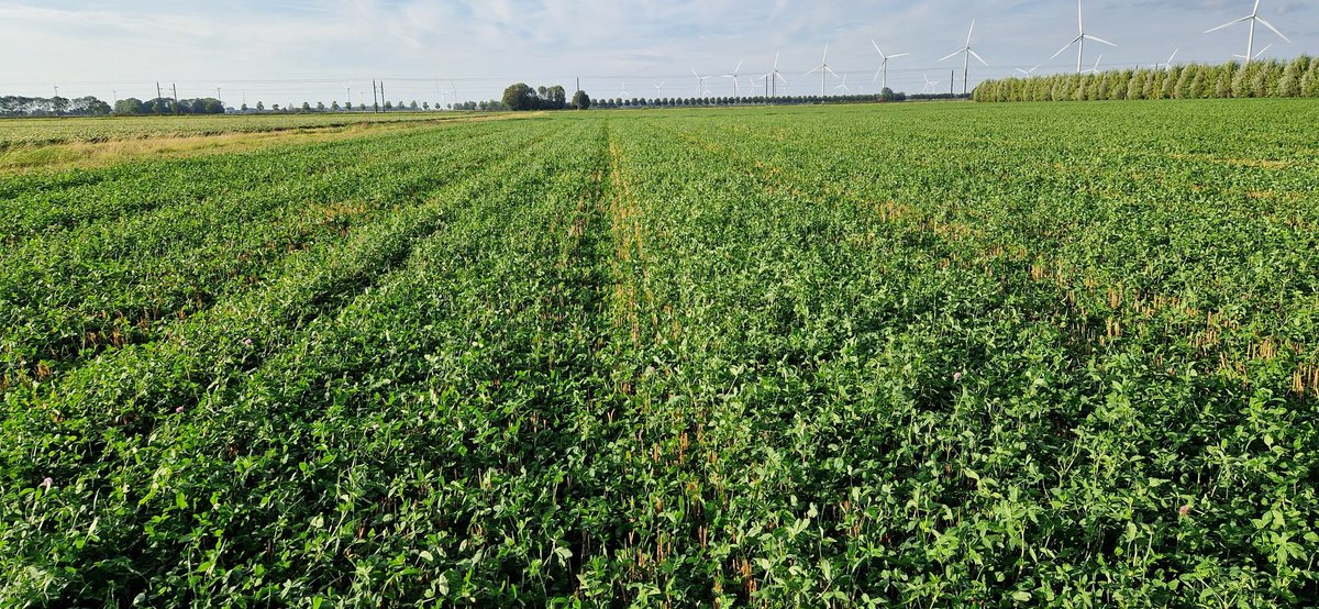 Joost Rijk tweet media