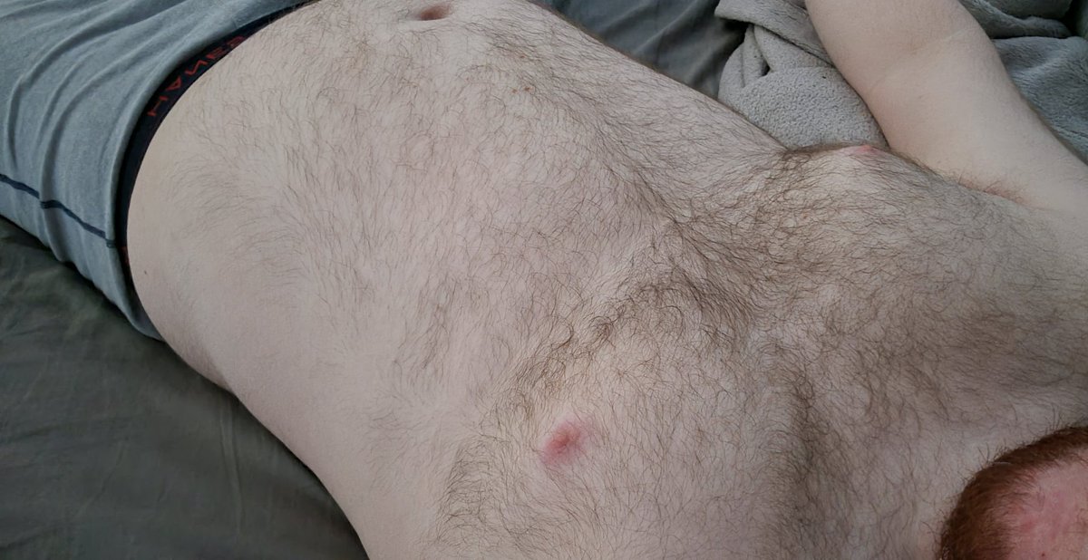 LewArdentbear's tweet photo. I need cuddles. Please. 🥺 https://t.co/tO2YiQuduB