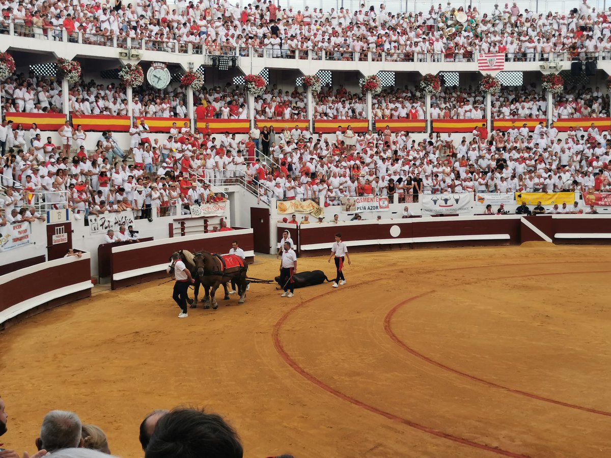 marc lavi tweet media