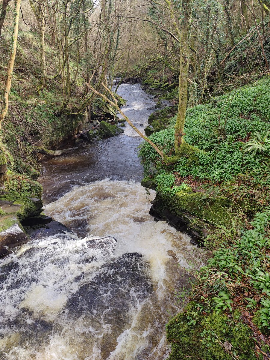 RichardGarner20's tweet photo. @visit_mon @MonmouthshireCC @visitwales @BannauB @BeaconsTourism Stunning valley, full of hidden gems around every corner. https://t.co/PXcyNnst0J