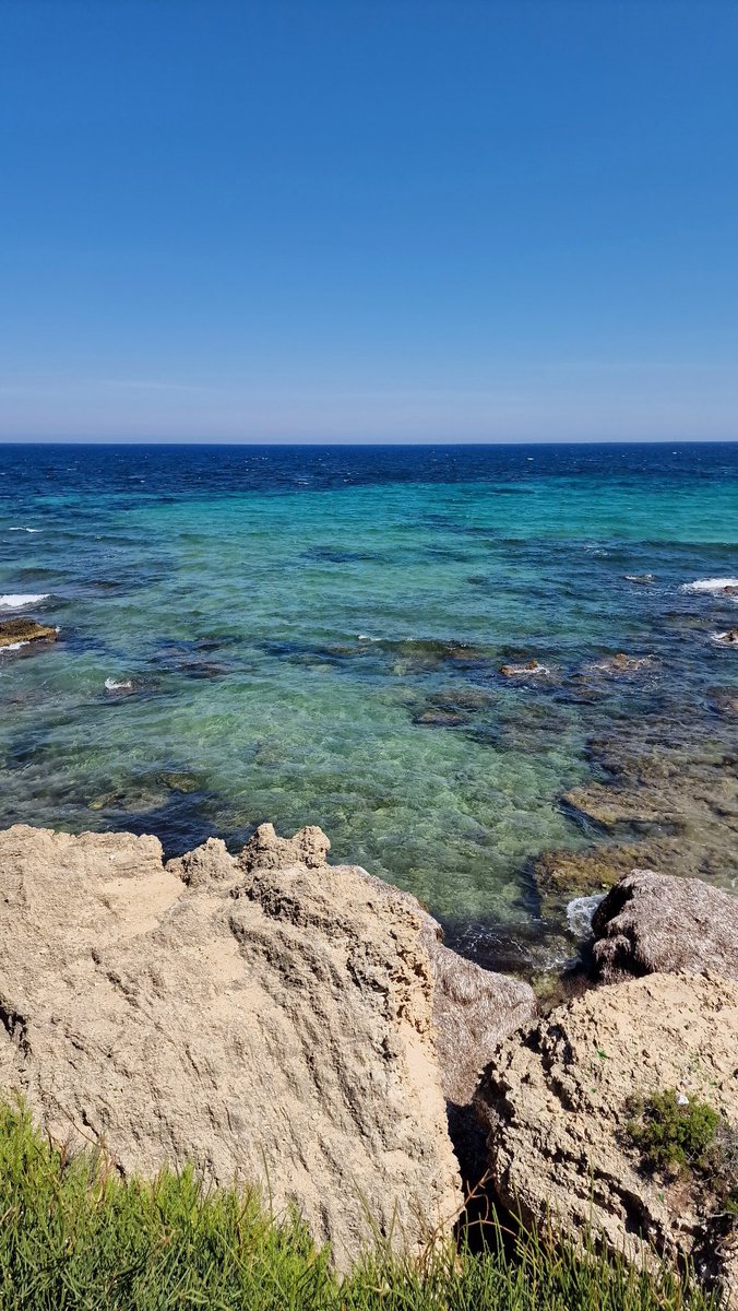 📍La forêt bleue, Bizerte