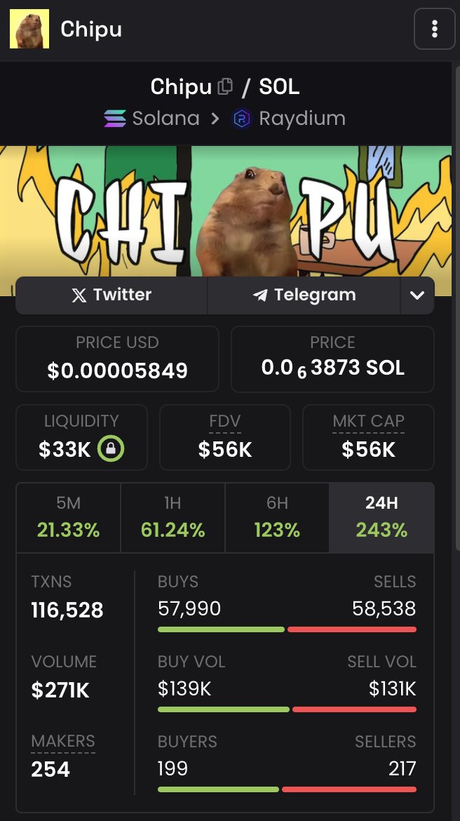 $Chipu 🐿 🌰 tweet media