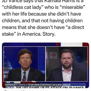 DeesaRoberts's tweet photo. I say, let him keep talking and let us keep working and on November 6, 2024, we can tell him where to stick his pre-Neanderthal views about women! #WomenAgainstVance #Women4Kamala2024 #WomenforHarrisWalz2024 #WeAreNotGoingBack #VanceIsAntiWomen #ForwardNotBackwards https://t.co/NdlcEDK8GA