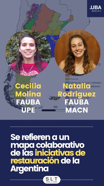 SLT_Divulgacion's tweet photo. En la 2da entrevista...
🌿𝗖𝗲𝗰𝗶𝗹𝗶𝗮 𝗠𝗼𝗹𝗶𝗻𝗮-𝗡𝗮𝘁𝗮𝗹𝗶𝗮 𝗥𝗼𝗱𝗿𝗶́𝗴𝘂𝗲𝘇: Iniciativas de restauración en la 🇦🇷
🧵2/2

#restauración #ecosistemas #vegetación #mapa @somos_restaura @pedrot77 https://t.co/3vNrpYa6fs