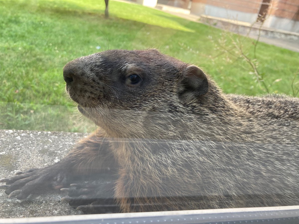 Alex Rusakov (@alexrusakov7) on Twitter photo 