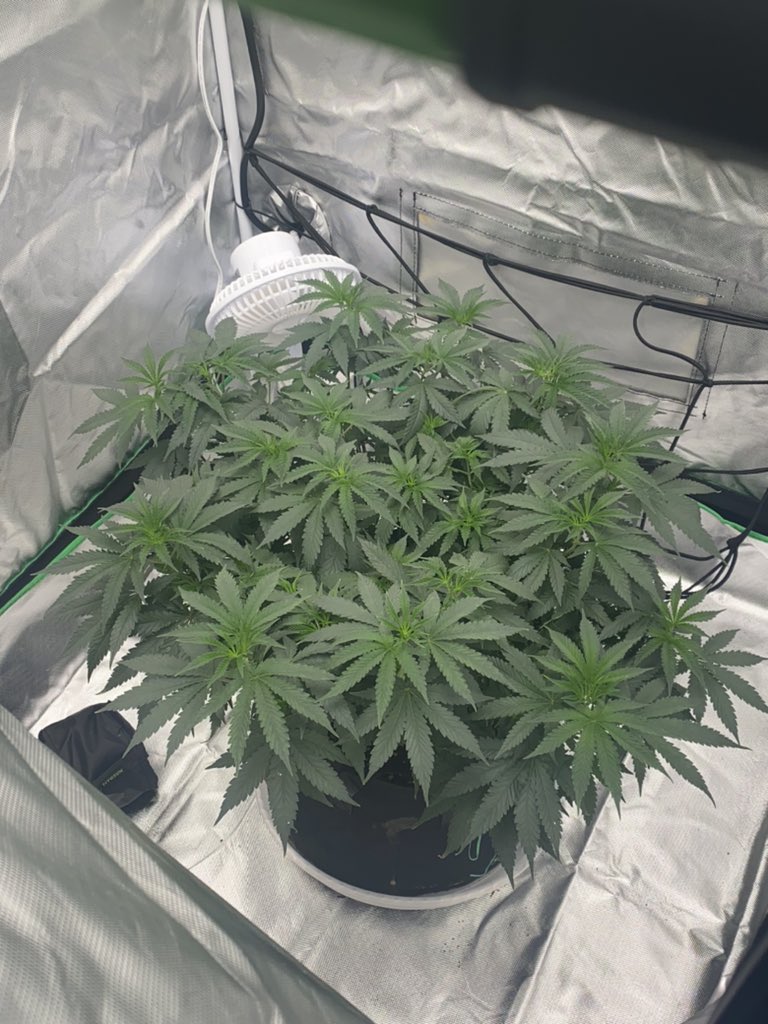 The Prince of DC tweet media