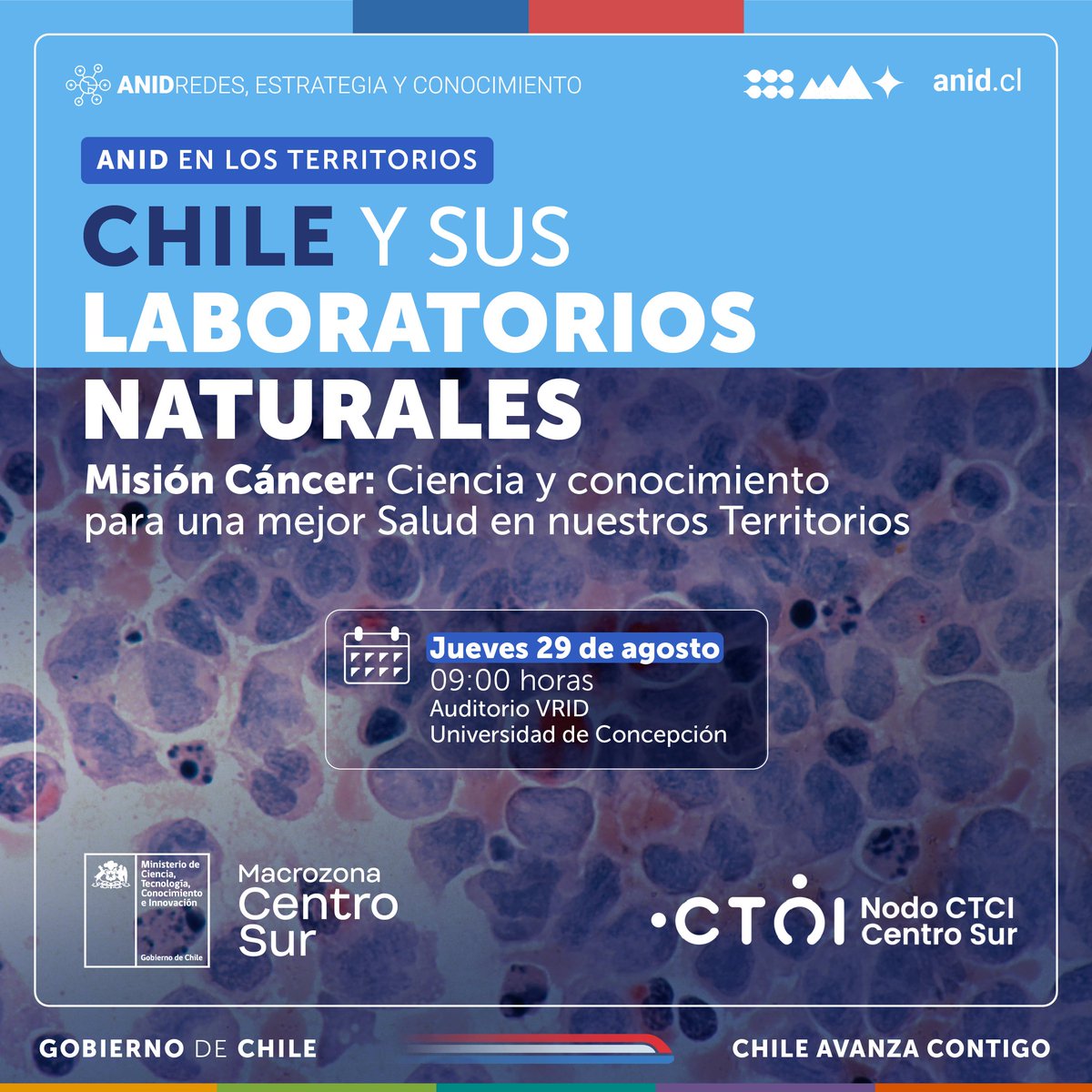 Agencia Nacional de Investigación y Desarrollo tweet media