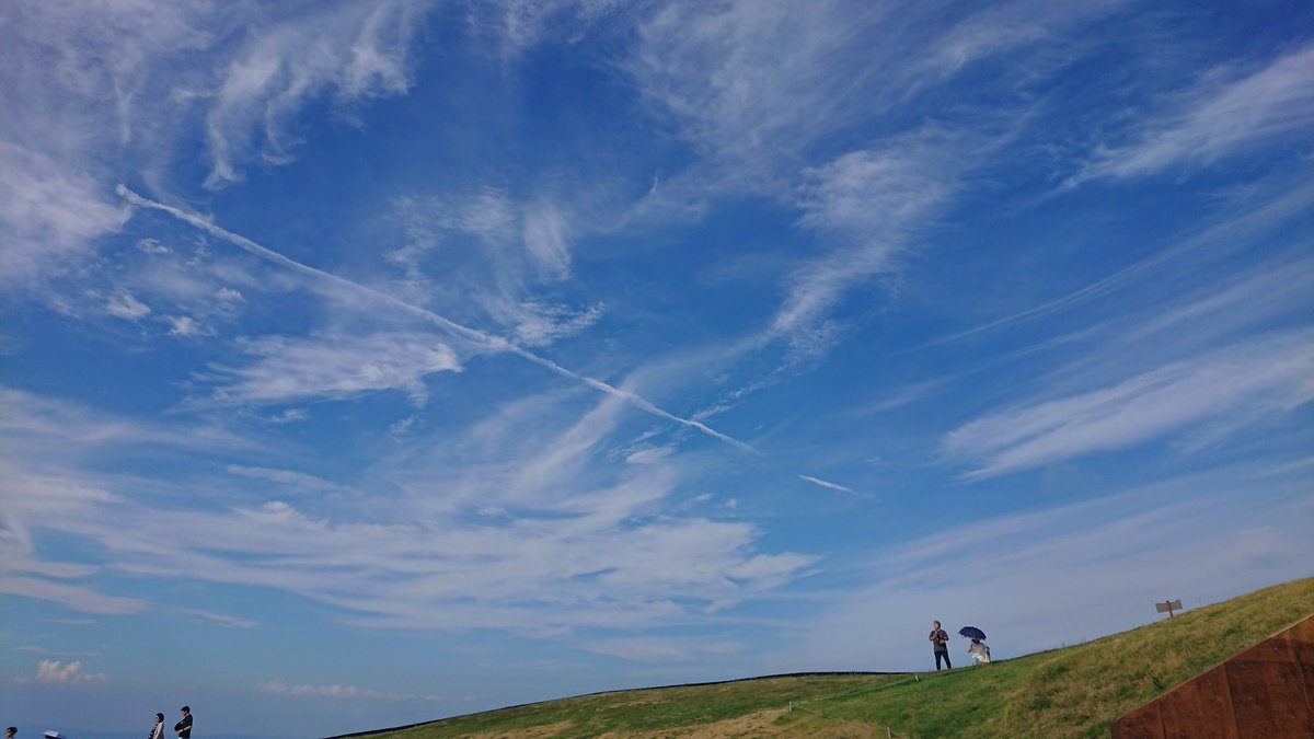 mifapoo's tweet image. いい模様だったから