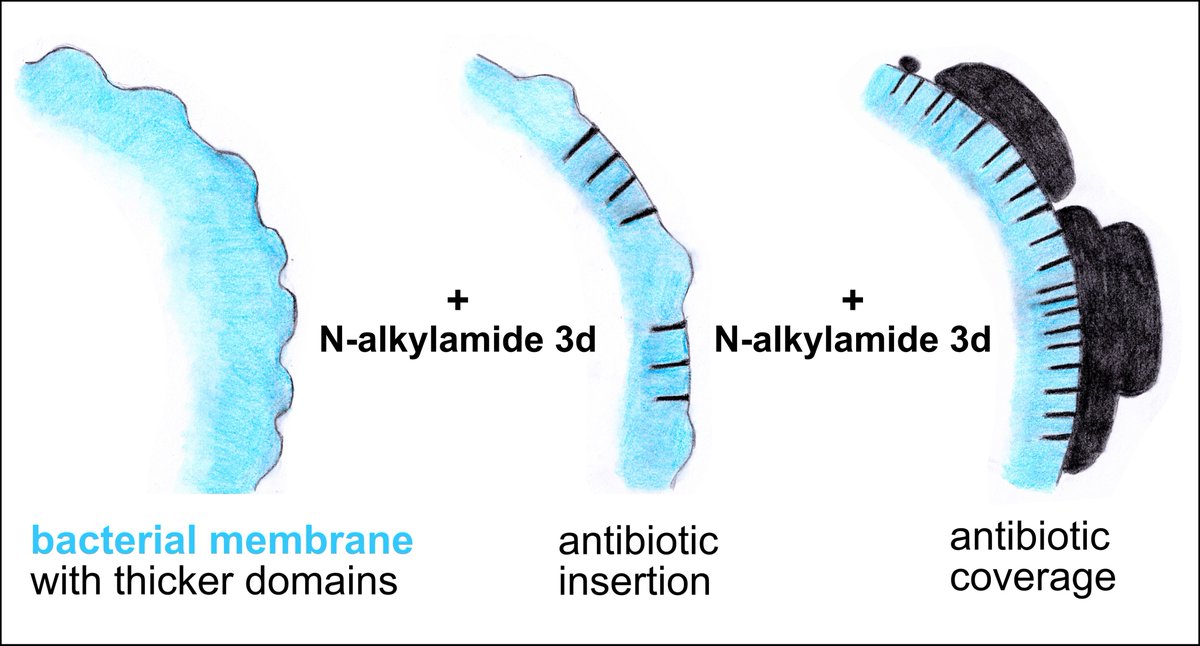 Adela Melcrova tweet media