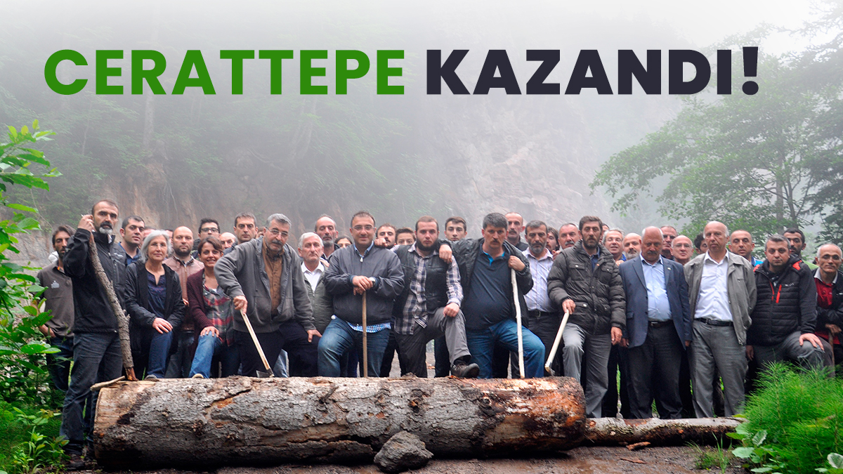 Cerattepe’de 25 Yıllık Mücadele Kazanıldı!

Artvin’in doğasını korumak için 25 yıldır süren mücadele sonunda Rize İdare Mahkemesi, Anayasa Mahkemesi’nin 2015 yılında verdiği “hak ihlali” kararını göz önünde bulundurarak Cerrattepe’deki madencilik faaliyetleri için verilen ÇED