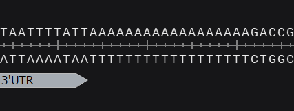 Sebastian S. Cocioba🪄🌷 tweet media