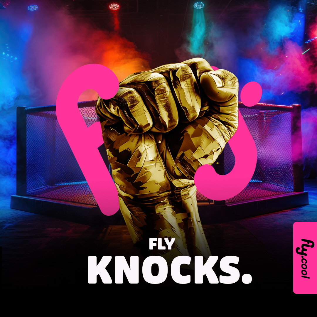 Fly.cool tweet media