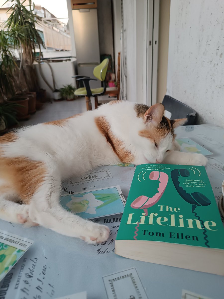 Emily the cat enjoying  The Lifeline by Tom Ellen. <a href="/TomEllen7/">Tom Ellen</a>