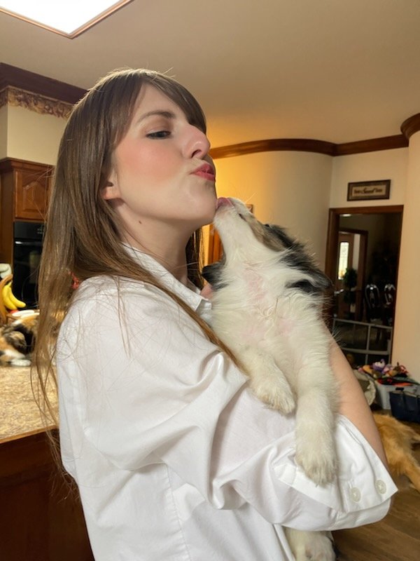 HOABlackMamba's tweet photo. Puppy love. #puppylove #love #cute #iloveanimals https://t.co/dHWcT5vrBB