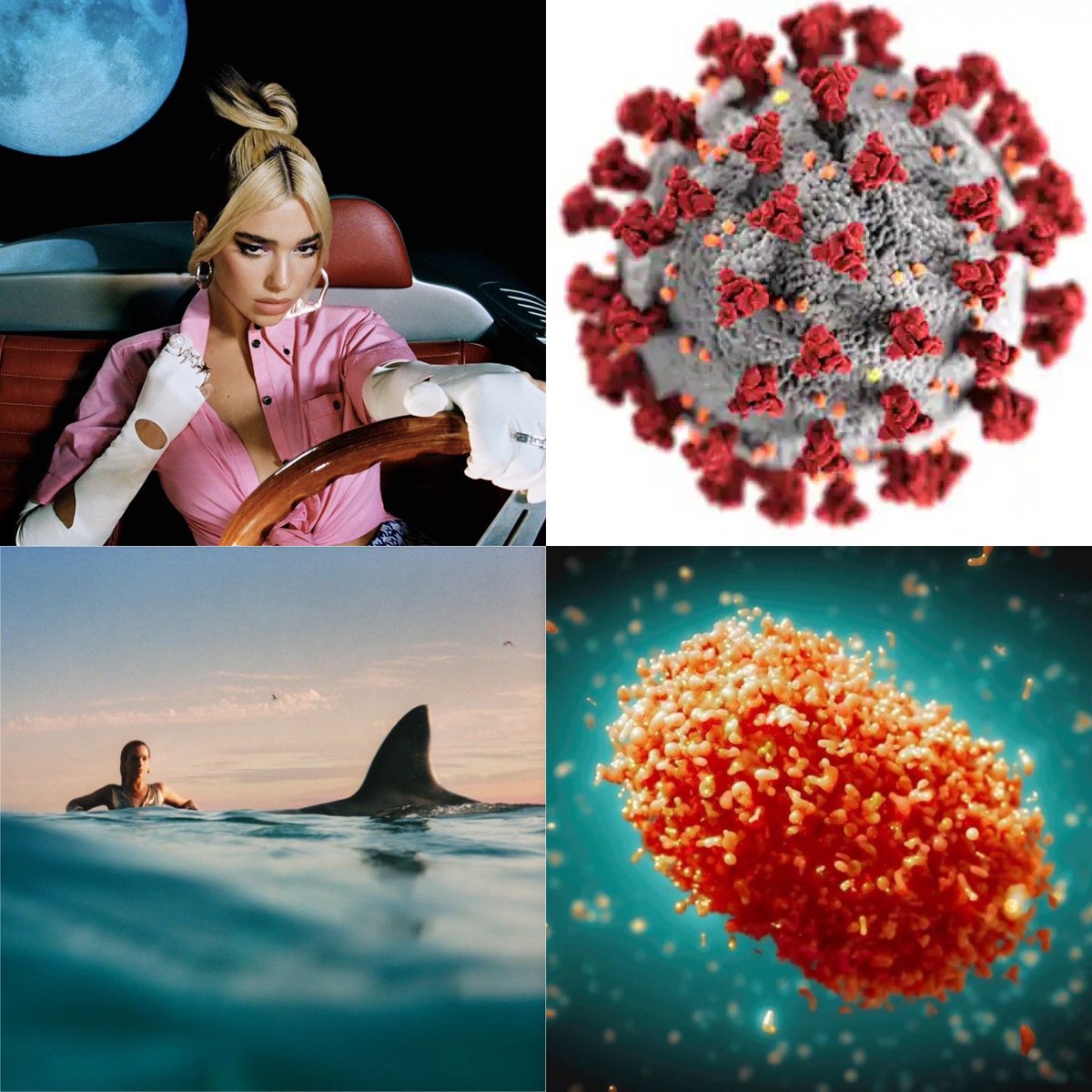 she kinda makes history if you think abt it