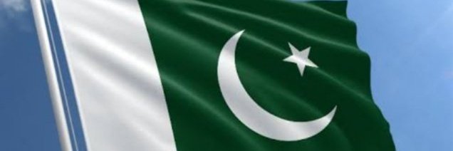 PTILover_s's tweet photo. ہمارا پرچم 
پیارا پرچم 

#عمران_خان_تو_آئے_گا 
#GOLD https://t.co/HMYTZk5sX8