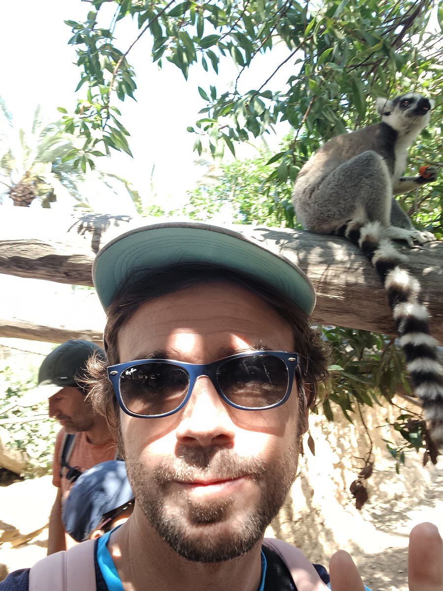 Powerbazinga's tweet photo. He hecho un amigo 👇 https://t.co/NiCH6XbCXW