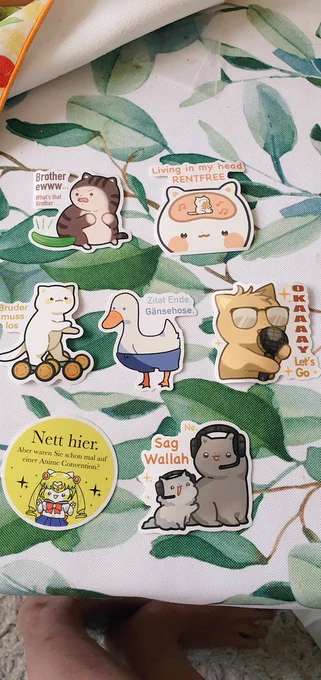 Some of my new gamescom merch came in!! I'm so excited for next week! 