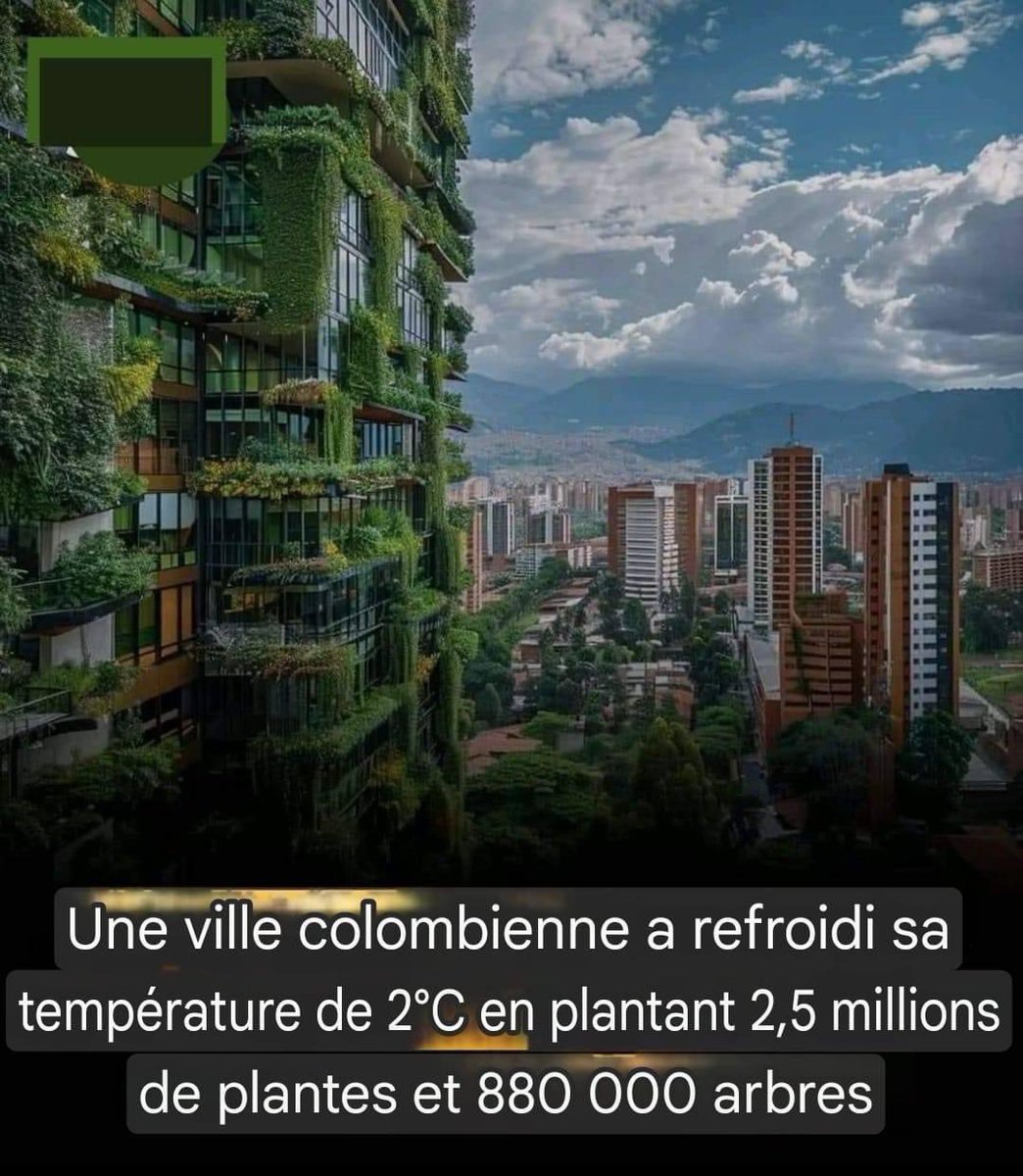 6MON2PANAME tweet media