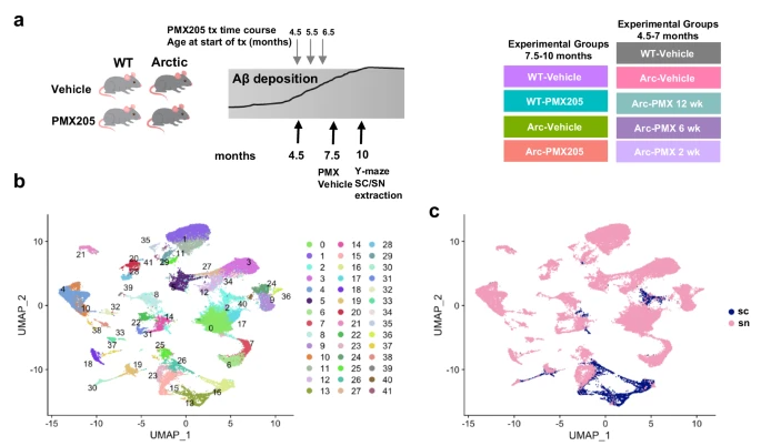 Nicole Schartz PhD tweet media