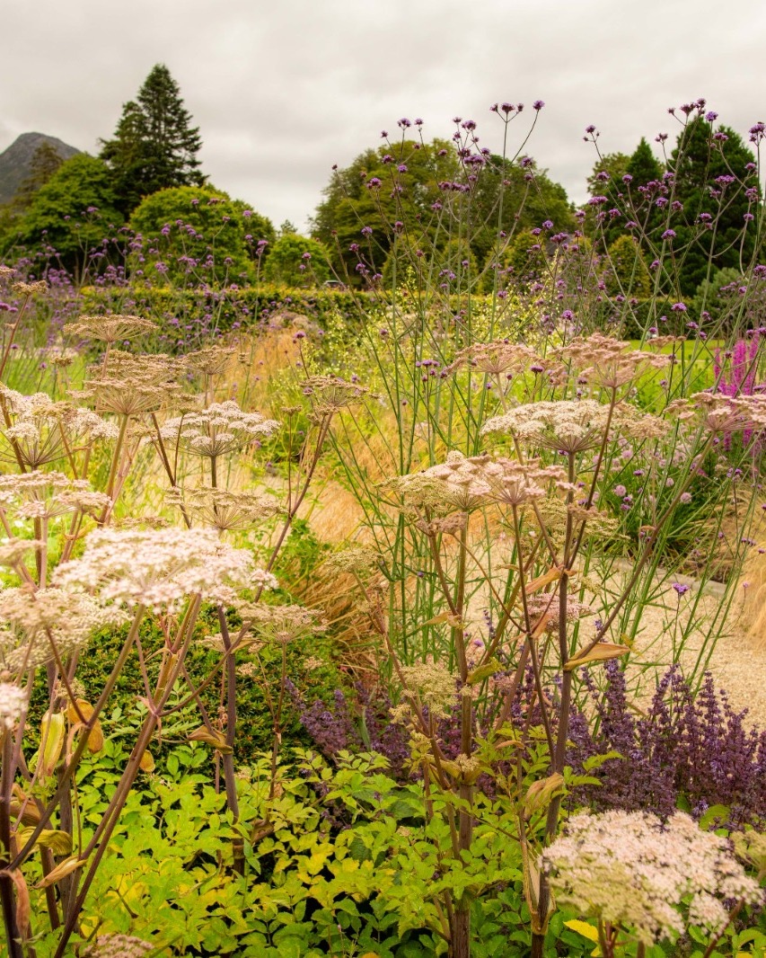 BallynahinchCas's tweet photo. Our pollinators are very busy at the moment as our Walled Garden thrives! 🐝

 #relaischateaux #connemara #ireland #SoVirtuoso #VirtuosoTravel https://t.co/Oy05q3n9X5