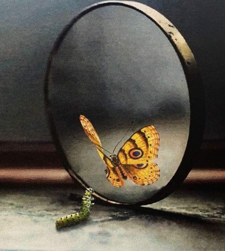 .•*’🦋