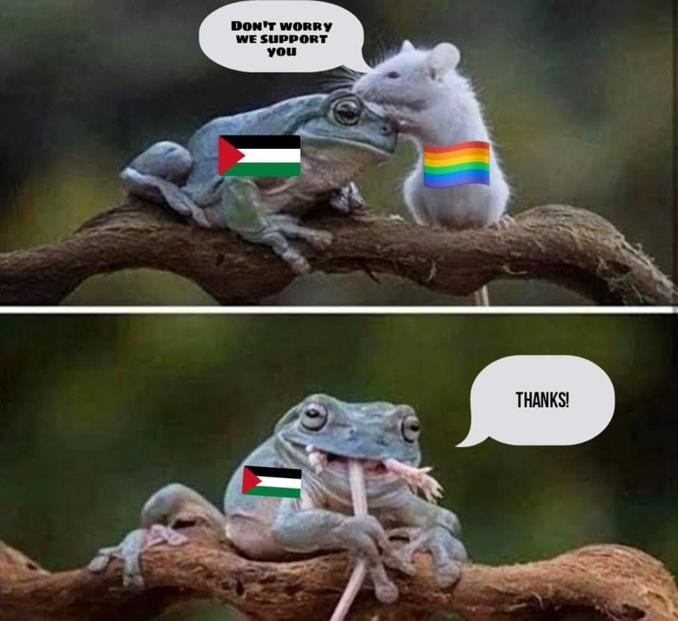 <a href="/realMaalouf/">Dr. Maalouf ‏</a> ‘Queers for Palestine’ is one of the most ironic manifestation of suicidal empathy.