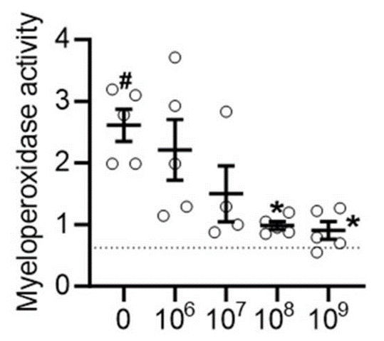 davis_ctrl's tweet image. Oxidative stress is linked to an increased risk of heart rhythm problems. We showed that injecting extracellular vesicles reduces oxidative stress in a rat pericarditis model, which may explain how they reduce the risk of adverse heart rhythms.🔗 doi: 10.7150/thno.89520