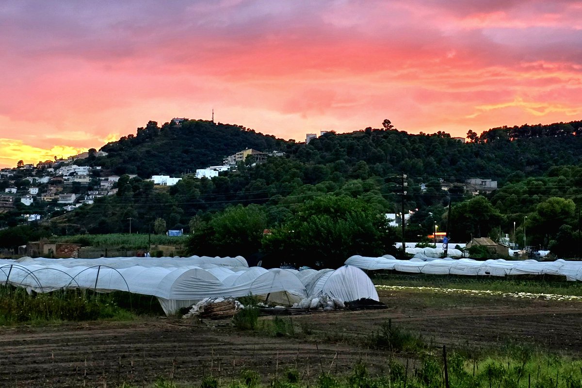 QuintanaCarles's tweet photo. El vespre rogenc al Montnegre, abans de la tempesta #photographercarlesqf @BCNmoltmes @alexmegapc @PaisatgesC @PassejantM #Montnegre #malgratdemar #malgratturisme @ajmalgrat @Nat_MonT_ @xarxadeparcs @CostaBcnMaresme @MeteoBarrufet @meteocat #vespre #atardecer https://t.co/w6Q3vYnbOJ