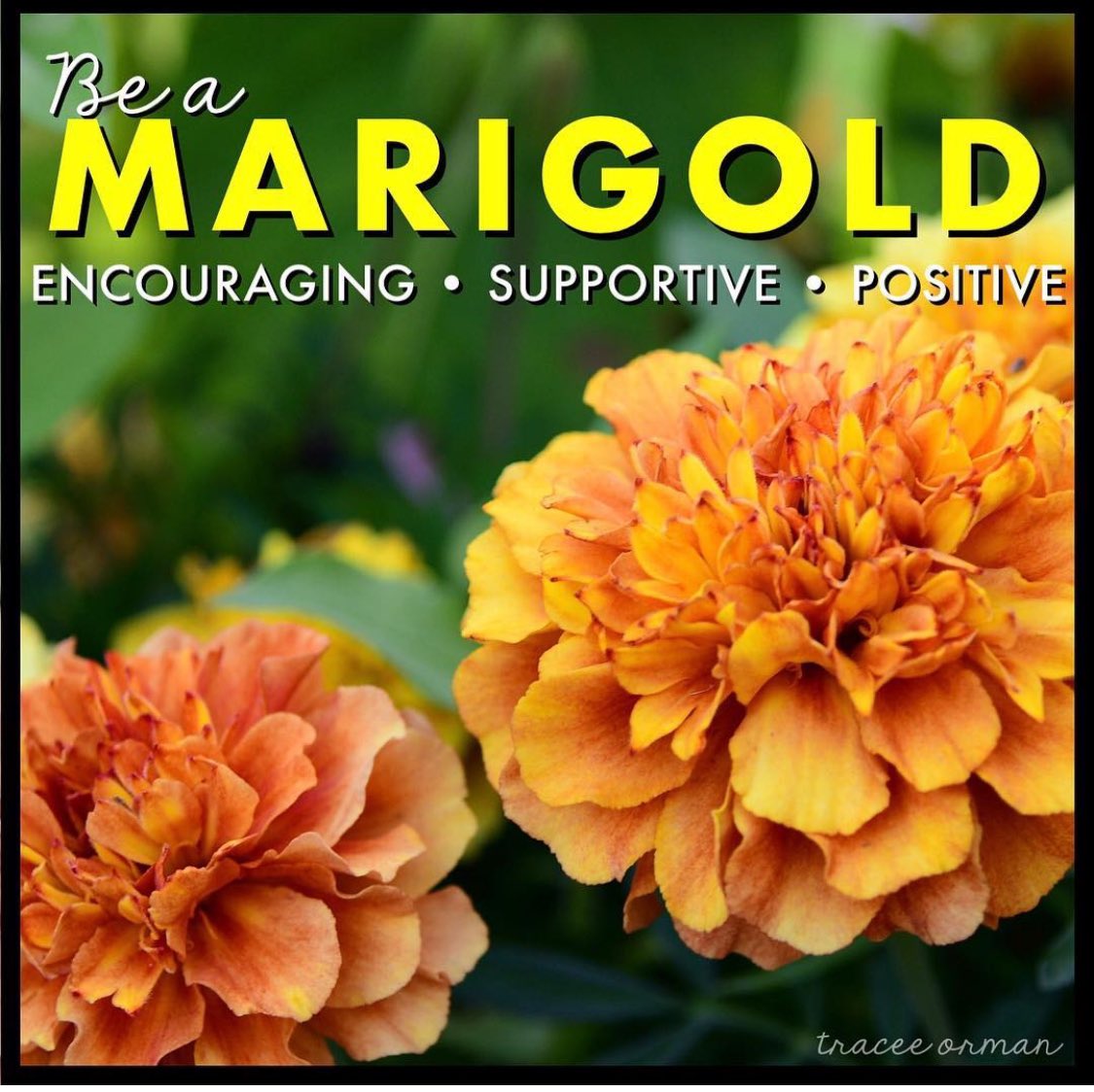 Ready for another great year!