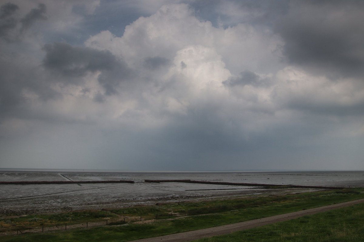 Luca_Hoogeveen's tweet photo. Prima weer om een middagje te touren langs de Friese kust!🌦
#Wierum #Paesens #Moddergat @BuienRadarNL @Weerplaza @weeronline @_weernl @helgavanleur @janvissersweer @AnnaZuidema https://t.co/48lAxpRztm