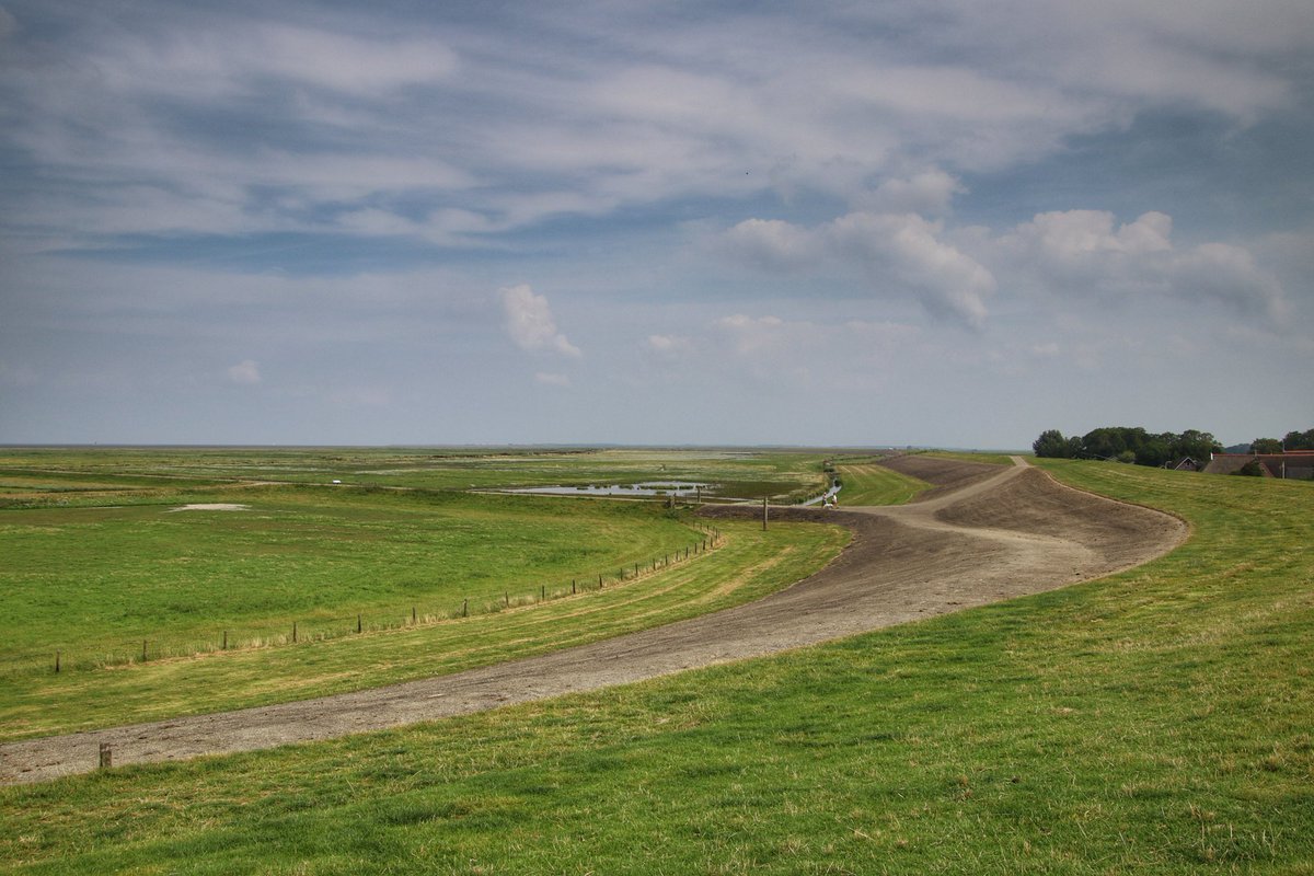Luca_Hoogeveen's tweet photo. Prima weer om een middagje te touren langs de Friese kust!🌦
#Wierum #Paesens #Moddergat @BuienRadarNL @Weerplaza @weeronline @_weernl @helgavanleur @janvissersweer @AnnaZuidema https://t.co/48lAxpRztm