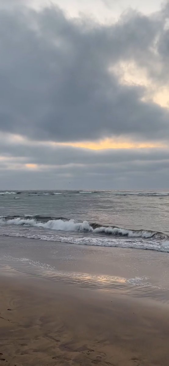 Bonsoir tout le monde 💛🩶