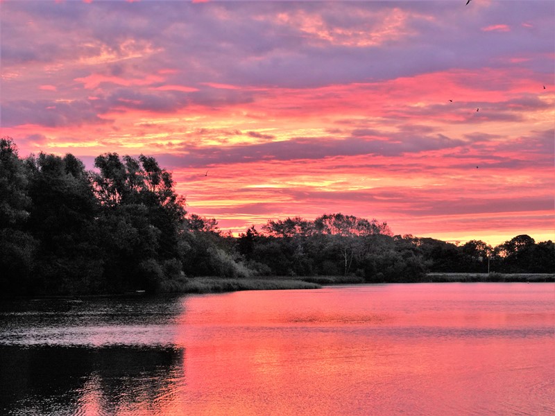 Here are Ed Wilson's sightings from today at Priorslee Lake and The Flash, Telford, Shropshire <a href="/sosbirding/">ShropshireBirdingNews</a> <a href="/BC_WestMids/">West Midlands Butterfly Conservation</a> <a href="/My_Wild_Telford/">My Wild Telford</a> <a href="/BTO_Shropshire/">BTO Shropshire</a> <a href="/ShropBotany/">Shropshire Botany</a>

Today's Photo: Sunrise at Priorslee Lake

friendsofpriorsleelake.blogspot.com/2024/08/15-aug…