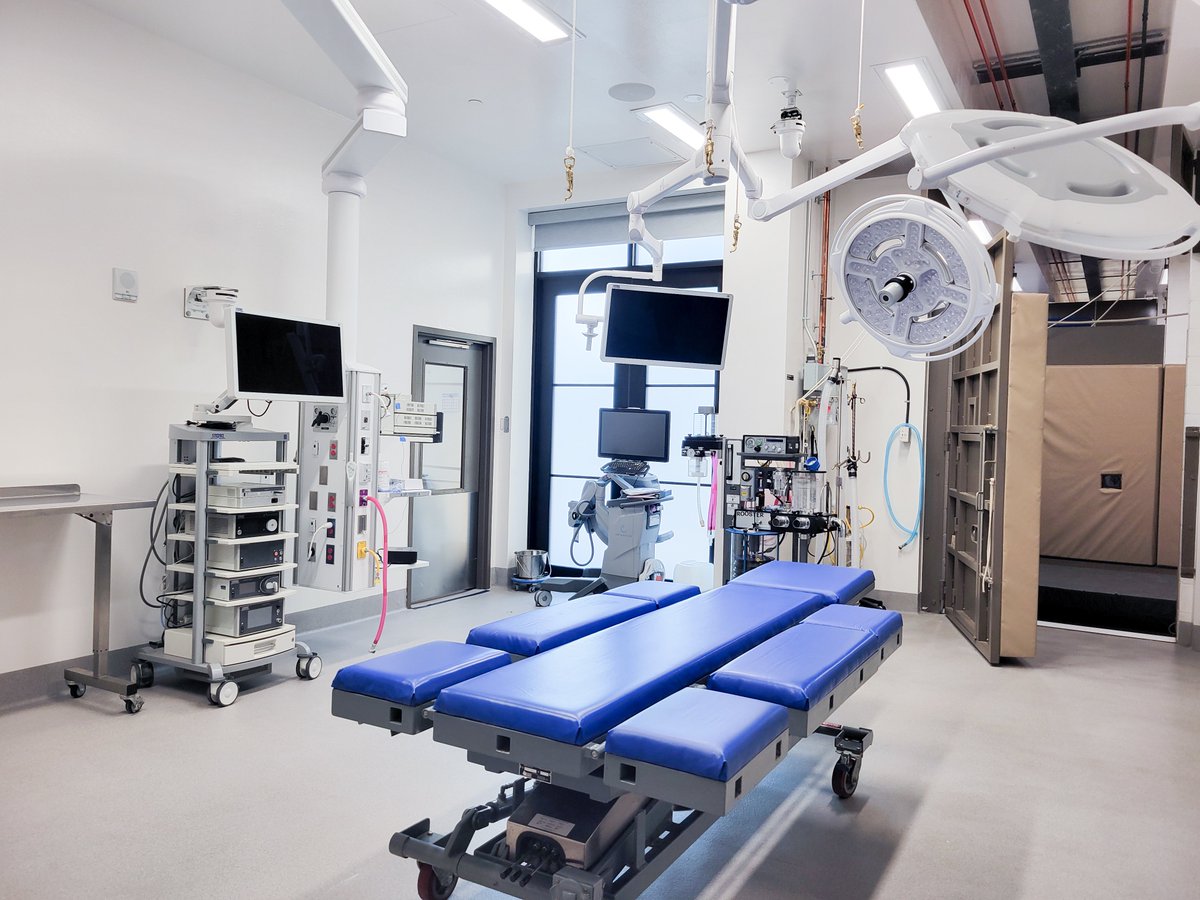 cumulusarch's tweet photo. Our team was excited to celebrate everyone’s hard work at Tuesday’s grand opening of the King Animal Hospital! At 60,000-sf across 4 levels and 180 specialized staff, the scale and complexity of this facility is unmatched in Canada. #animalhospital

https://t.co/w1Z8aLXBG2 https://t.co/Vv1cEIhZjr